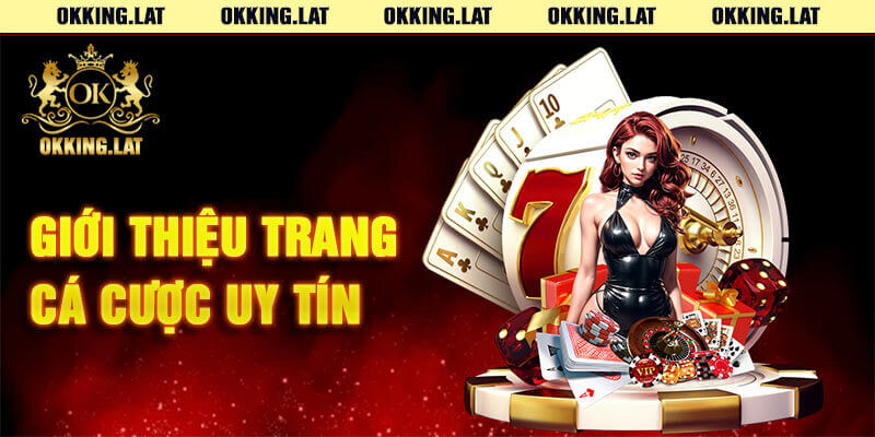 Tổng quan thông tin về nhà cái Okking